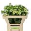 product/img.floraplaza.nl/LNIGV5-LIVE_fotos-0x3E1B5EB84C5EE7A8D63C5537598CB6F3EA7B820A.jpg