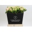 product/img.floraplaza.nl/LPAEMISA-LIVE_fotos-0xE065F7606B1283FE63BEB7E659572CD58659336A.jpg