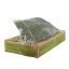 product/img.floraplaza.nl/LPHO100-LIVE_fotos-0x082993651658403D9F9B48FCA6F544E42DC2588B.jpg