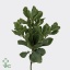 product/img.floraplaza.nl/LPITI55-ART_fotos-VBN-vbn12238.jpg