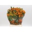 product/img.floraplaza.nl/LPITR-LIVE_fotos-0x7E440FBDF2037DA543D8341D8D127E0C0E4C24FE.jpg