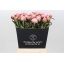 product/img.floraplaza.nl/LPOJALBC50-LIVE_fotos-0x364E0CAAFFFA9AACC05CF15BE599E2311B1EE31B.jpg