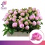 product/img.floraplaza.nl/LPOJANGC5-LIVE_fotos-0x773BAC5B5CDBD5125AB439EA1CA0BEBFB7518505.jpg