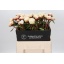 product/img.floraplaza.nl/LPOJANNC6-LIVE_fotos-0x92F7DF2F8B08A367D387B4EE138CB669C5E2A136.jpg