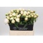 product/img.floraplaza.nl/LPOJBOW6-LIVE_fotos-0x277B05550FC16D711961E419285FDB23DE032508.jpg