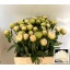 product/img.floraplaza.nl/LPOJBOW6-LIVE_fotos-0x381D1DE681322CC214AF6F1B8F8A640109E1C2C8.jpg