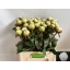 product/img.floraplaza.nl/LPOJBOW6-LIVE_fotos-0x3C5FE80D900FAE2BBA4850EAA61AAD2C9D1DA879.jpg
