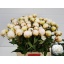 product/img.floraplaza.nl/LPOJBOW6-LIVE_fotos-0x3F5A3123D63BC6E432B2FF456083A660585E4B1F.jpg