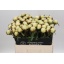 product/img.floraplaza.nl/LPOJBOW6-LIVE_fotos-0x79B7A2850DE7B20C49B9340BC83B489CF19C49EC.jpg