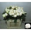 product/img.floraplaza.nl/LPOJBOW6-LIVE_fotos-0xA6F91BC2BAB51CFDFC4D7BEFB13D55FA78EAAB0D.jpg