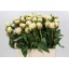 product/img.floraplaza.nl/LPOJBOW6-LIVE_fotos-0xD379D0B8BEFB45DC215BBC83A7E2B006EBE2A7A3.jpg
