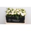 product/img.floraplaza.nl/LPOJBOW6-LIVE_fotos-0xEA85605D9566747037C68D163EA7A6993F145CF7.jpg