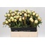 product/img.floraplaza.nl/LPOJBOW6-LIVE_fotos-0xEF5C0C7D3867A42C9742B9F0334915D52B545932.jpg