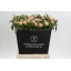 product/img.floraplaza.nl/LPOJCATF5-LIVE_fotos-0xDF579060800923BED250F34A1FC5B03FA5CD9E99.jpg