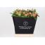 product/img.floraplaza.nl/LPOJCORS-LIVE_fotos-0xF1993AB910A8FC8B8BC06B4B78D37DCD7467BCA2.jpg