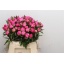 product/img.floraplaza.nl/LPOJDRALF4-LIVE_fotos-0x40D00E477D8F92911C667BDC7027CB5B77D20EED.jpg