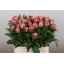 product/img.floraplaza.nl/LPOJDRALF4-LIVE_fotos-0xB0958B8578ABA84DACC02495A9C65A1EF12844AC.jpg