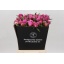product/img.floraplaza.nl/LPOJDRALF5-LIVE_fotos-0x053A676F2A7E2DCE6A32548D6FA574635EAAD6E4.jpg