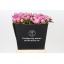 product/img.floraplaza.nl/LPOJDRALF5-LIVE_fotos-0x466F4D58DEFA016EBFA1E3521BD6ADE5DED767FE.jpg