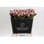 product/img.floraplaza.nl/LPOJDRALF5-LIVE_fotos-0xECDF8ED13A64DA023DC4E05912FEDFD4514EEBA7.jpg