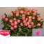 product/img.floraplaza.nl/LPOJDRALF6-LIVE_fotos-0xB8F425D4D823131ED6FDDA57C66B548A6D436E3A.jpg
