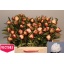 product/img.floraplaza.nl/LPOJGAR5-LIVE_fotos-0x80668FFF9192F90A64A49CBAB07BEFA8DD0750FE.jpg