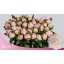 product/img.floraplaza.nl/LPOJGAR6-LIVE_fotos-0x0D781B0546D8FEEE3D381DF9EAF5346B86611CD3.jpg