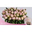 product/img.floraplaza.nl/LPOJGAR6-LIVE_fotos-0x1F7C09DA918CCF79CE0F45878385B35A4EBC82EB.jpg