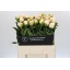 product/img.floraplaza.nl/LPOJPRIB6-LIVE_fotos-0xBC0E01F6021C110BFBDE49BCCAF669C0357B6ED9.jpg