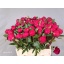 product/img.floraplaza.nl/LPOJREDSARB6-LIVE_fotos-0xBD8F4A6AF6A0C270138F429F11C571696662E623.jpg