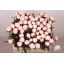 product/img.floraplaza.nl/LPOJSHIRT5-LIVE_fotos-0xC8648D2F03FA74B52CC51EC4247E526FE362DF40.jpg