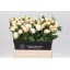 product/img.floraplaza.nl/LPOJSNOM6-LIVE_fotos-0x3C2D42AD03B5041AF0CEEC728F0A390D3AC52549.jpg