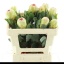 product/img.floraplaza.nl/LPRO5GRA-LIVE_fotos-0x835BC4732CDE4D084931E929730024E855B8D8F2.jpg