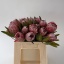 product/img.floraplaza.nl/LPROPINI4-LIVE_fotos-0x87414DB036B407C6B19DFD520D5EEA3CCB19652F.jpg