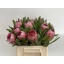 product/img.floraplaza.nl/LPROPINI4-LIVE_fotos-0xB3923A4DA9A4F01227A8276B398B5901866355A5.jpg