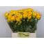 product/img.floraplaza.nl/LRANAZY-LIVE_fotos-0x1F473F77E5A5AF0F7A317BD12389760620F3A798.jpg