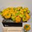 product/img.floraplaza.nl/LRANAZY-LIVE_fotos-0x835975004ABD7C37082686BE19DDD2945BD3AF03.jpg