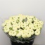 product/img.floraplaza.nl/LRANCOM-LIVE_fotos-0x443DCC7C405E4EF11069F563FBC94C6398731329.jpg