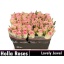 product/img.floraplaza.nl/LRLOVJ4-LIVE_fotos-0x1DADBF2E4AC6265DD0BC6EDAB31915C2CC3C3DEE.jpg