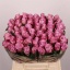 product/img.floraplaza.nl/LRMAR4-LIVE_fotos-0xC49C2EA6DDB459CCDE001AE6351F1A67A76EE9A9.jpg