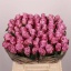 product/img.floraplaza.nl/LRMAR4-LIVE_fotos-0xFA76F99BDA56118AF4C47B7923B6BF2B64B951DA.jpg