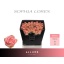 product/img.floraplaza.nl/LSOPL7-LIVE_fotos-0xBD16B5DEDFFD5B1F55BA9E81B741C52039D1C3FB.jpg