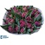 product/img.floraplaza.nl/LTULALIB-LIVE_fotos-0xFC3FA68135065A140F8696760F4C1ED57AA7B7BF.jpg