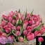 product/img.floraplaza.nl/LTULBETH-LIVE_fotos-0x2A518D4DA9F45636E3A5162C9C0277FD2935605A.jpg