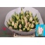 product/img.floraplaza.nl/LTULCAB-LIVE_fotos-0x74AECF50848D73B16C4F67FA1D57FCEB0D28E7CE.jpg