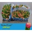 product/img.floraplaza.nl/LTULCOL-LIVE_fotos-0x2A8D9473A87B5D2C4EAE43A885F0DADC51F4A2E7.jpg