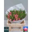 product/img.floraplaza.nl/LTULCOL-LIVE_fotos-0xCD6288F903F2B4337ABF90648AC4FACBCFA07960.jpg