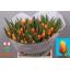 product/img.floraplaza.nl/LTULDAV-LIVE_fotos-0x2C7C62477971C6D8C059093CC609B0FEA215EE44.jpg