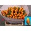 product/img.floraplaza.nl/LTULDAV-LIVE_fotos-0x9E055245C85C0BDD648F09239A5A7AF52D9E0EFC.jpg