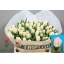 product/img.floraplaza.nl/LTULFOX-LIVE_fotos-0xEC927E668B43B7876B4E01309442E4CD87EAEB91.jpg